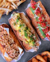 Special dogs at Dog Haus