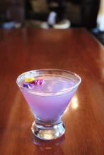 SIP-temb er drinks are delicious